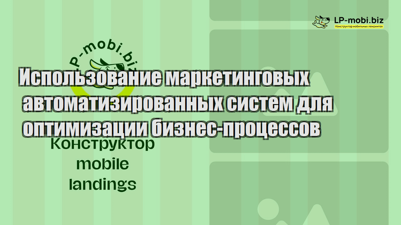 ispolzovanie marketingovyh avtomatizirovannyh sistem dlya optimizaczii biznes proczessov