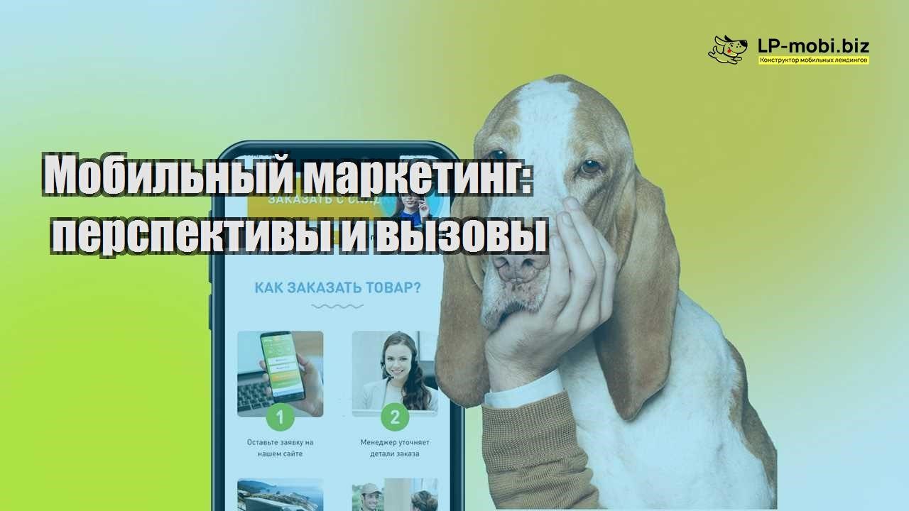 mobilnyj marketing perspektivy i vyzovy