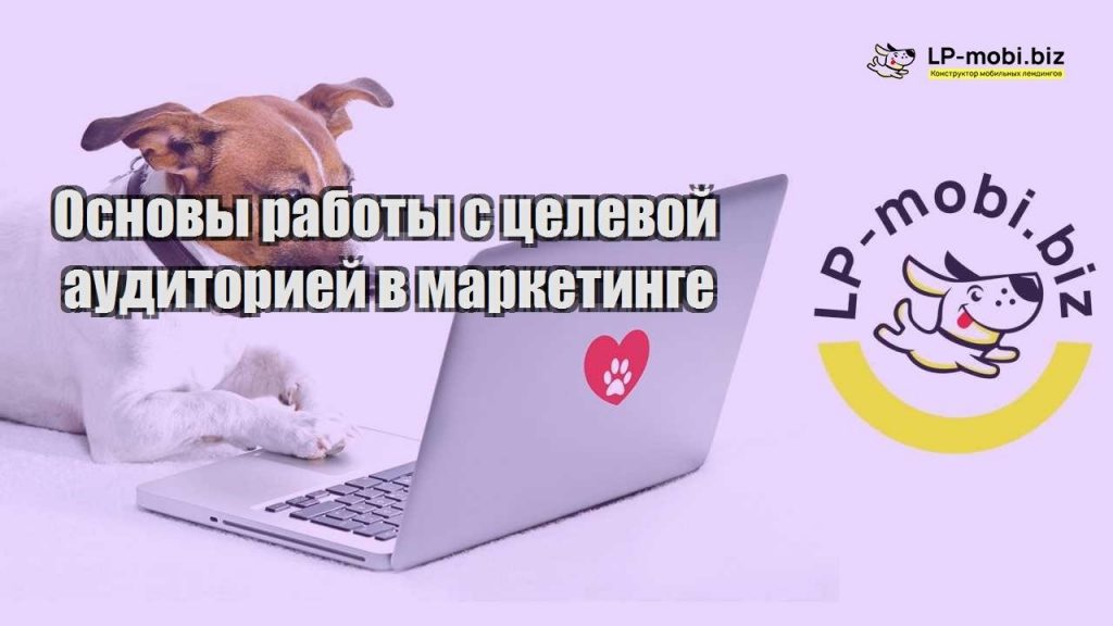 Основы работы с целевой аудиторией в маркетинге -LP-MOBI