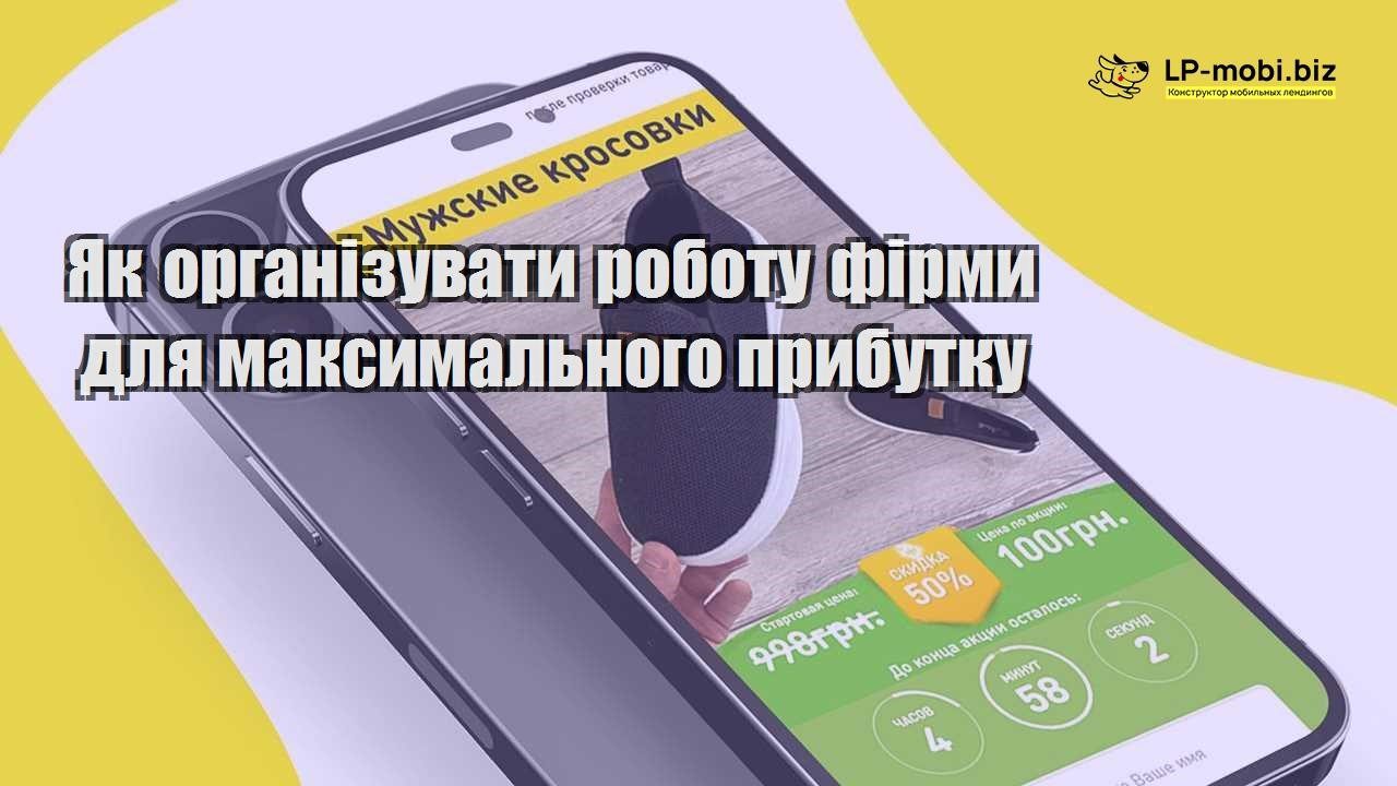 Як організувати роботу фірми для максимального прибутку