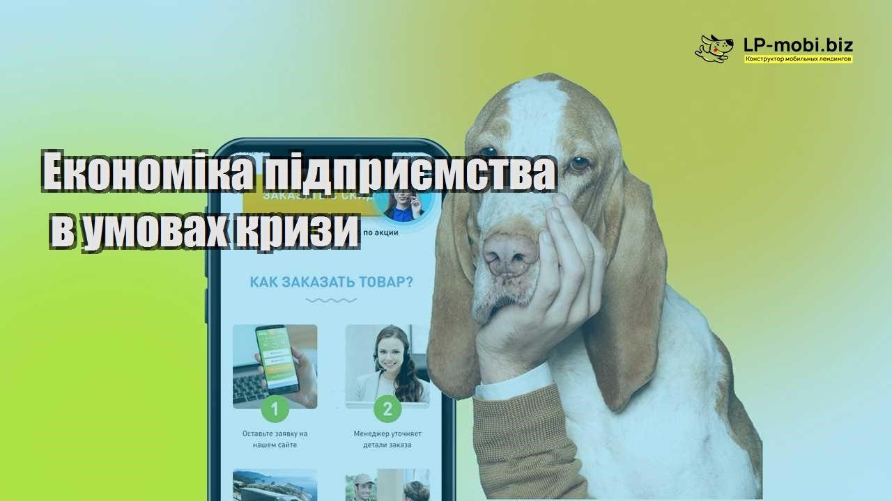 Економіка підприємства в умовах кризи